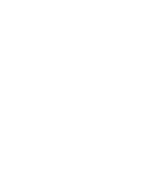 Bodega Sin FIn